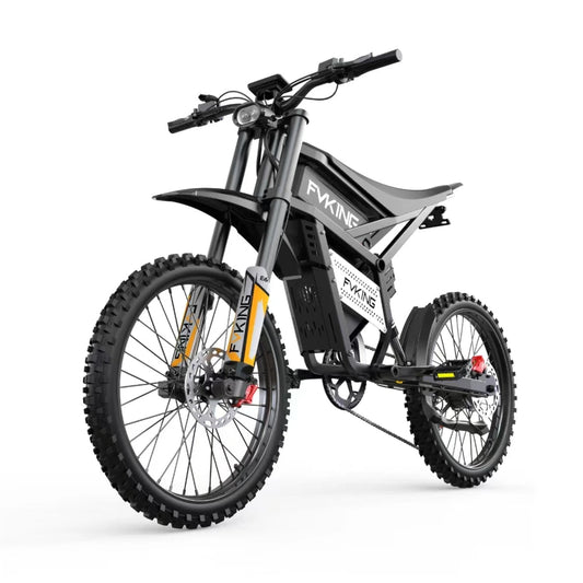 FVKING E6 Adult Electric Dirt Bike