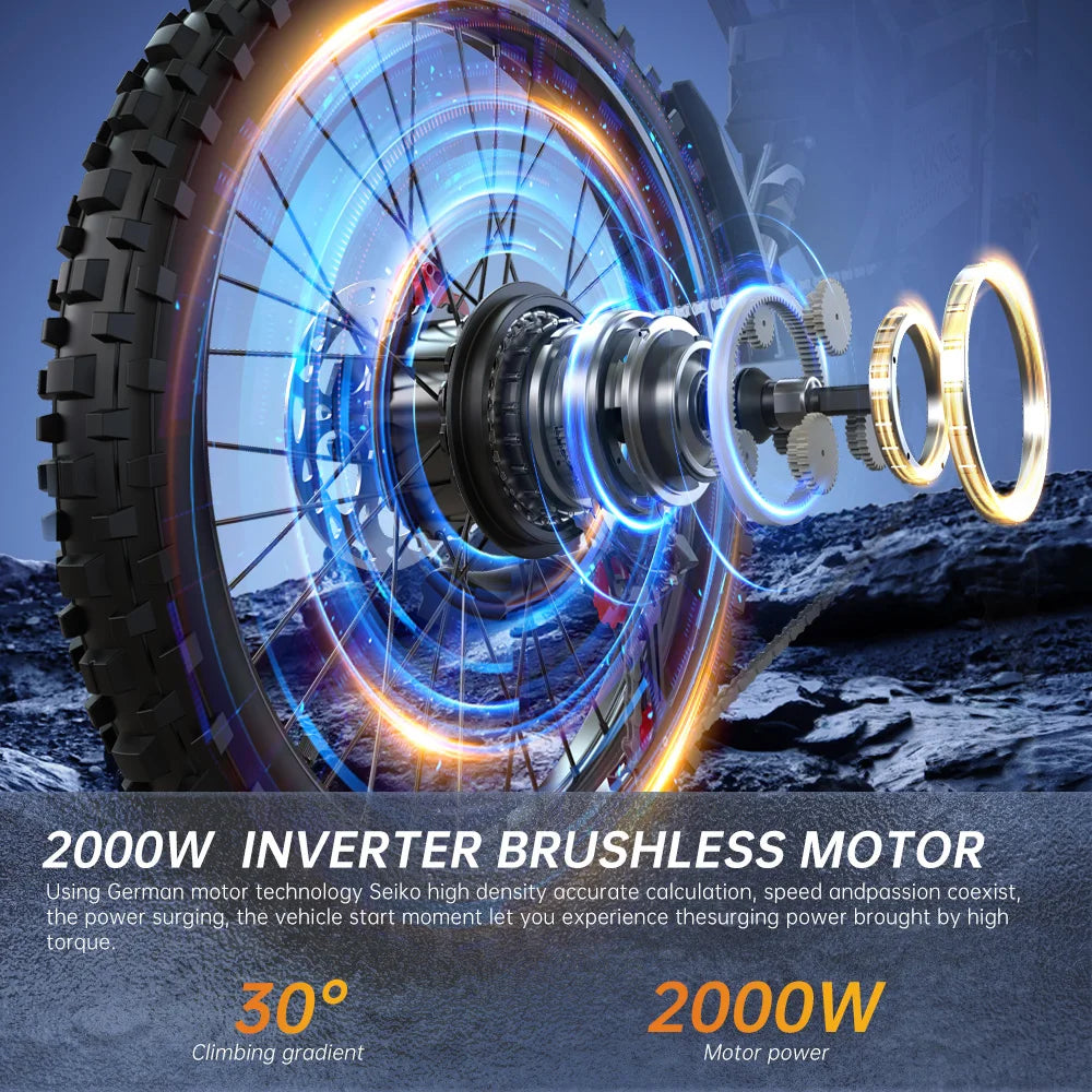 FVKING E6 Adult Electric Dirt Bike