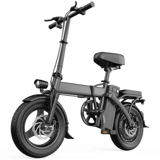 Mini Foldable Electric Bike