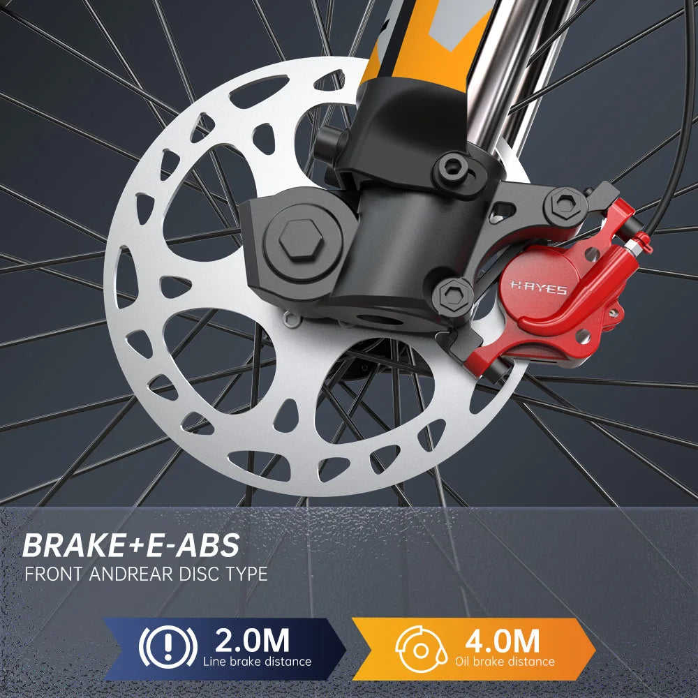 FVKING E6 Adult Electric Dirt Bike