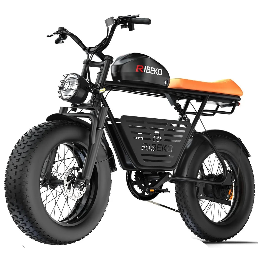 CT20Pro Electric Bike