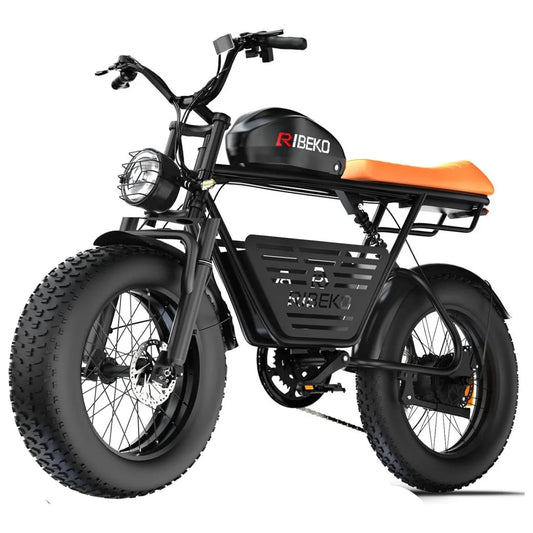 CT20Pro Electric Bike